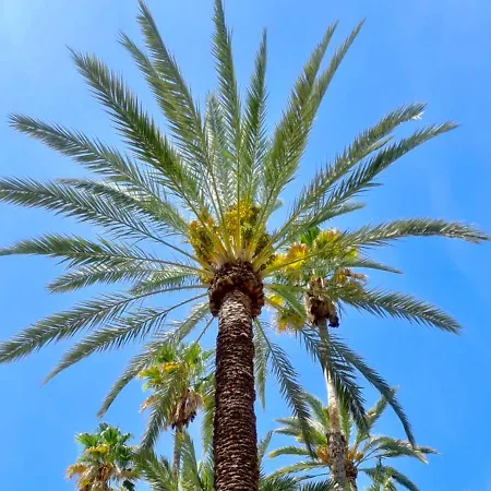 Appartement Casa Alegria With Pool